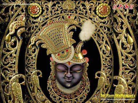 नाथद्वारा धाम के स्वामी श्रीनाथजी  भगवान की आय का हुआ लेखा जोखा !