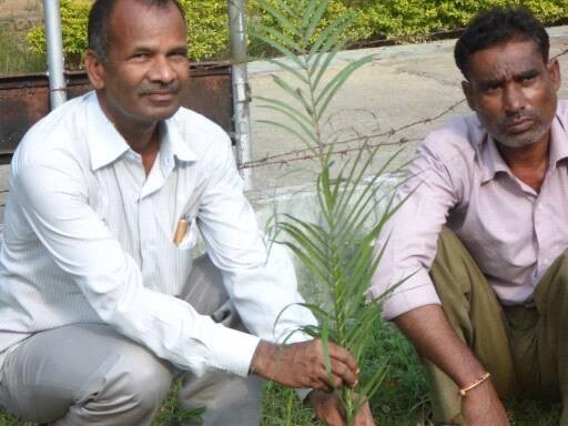साइकिल से हरियाली बांटते हैं प्रो. ‘हरियाली गुरु’:विश्व पर्यावरण दिवस पर इलाहाबाद विश्वविद्यालय के प्रोफेसर एनबी सिंह का इंटरव्यू, एक लाख पौधे लगा चुके हैं