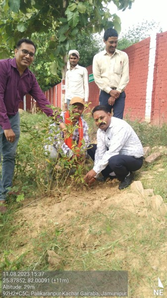 वृक्षारोपण सप्ताह की समाप्ति के अवसर पर विश्वविद्यालय में रूद्राक्ष के वृक्ष लगाकर सप्ताह का किया समापन !