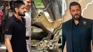 सलमान खान ने कहा कि काले हिरण को मैंने नहीं मारा...'वो कोई और था , सलमान खान ने किया था ऐसा कबूलनामा, क्या किसी को बचाने की ओर था इशारा?