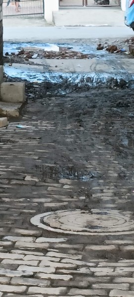 संचारी रोग का कहर यहाँ पड़  सकता है भारी: मालवीय नगर प्रयागराज!